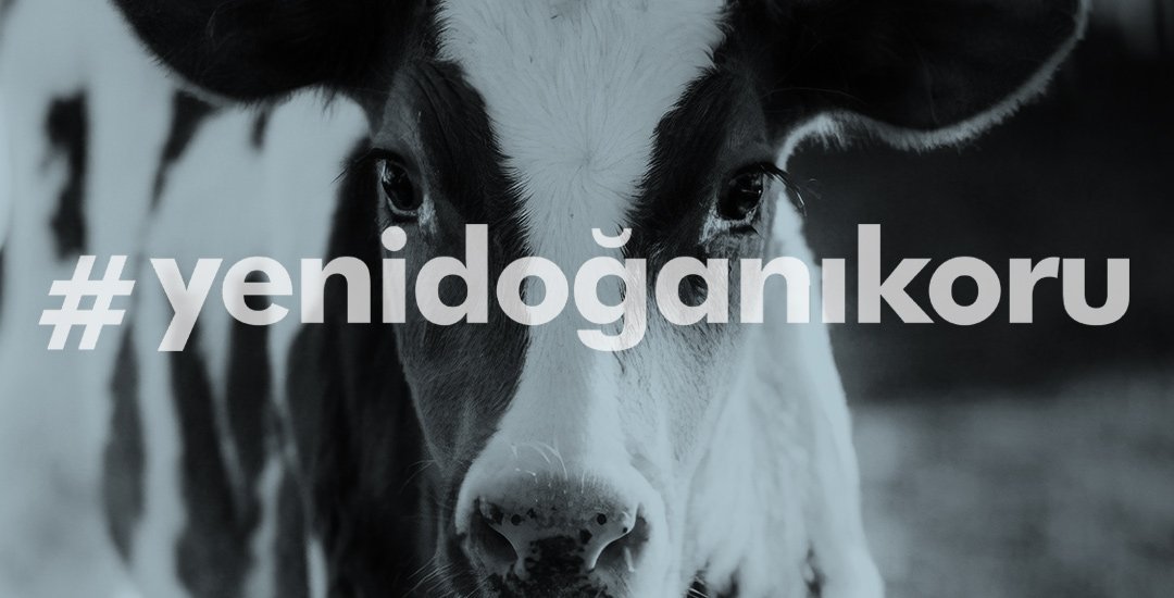 ydk-banner