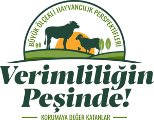 VP-LOGO