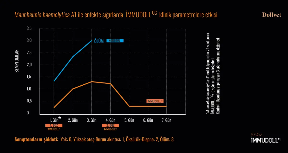 gr4-immunostimulan-dollvet-immudoll